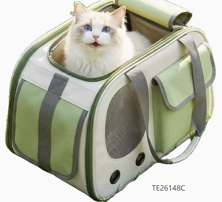 Crossbody Backpack
