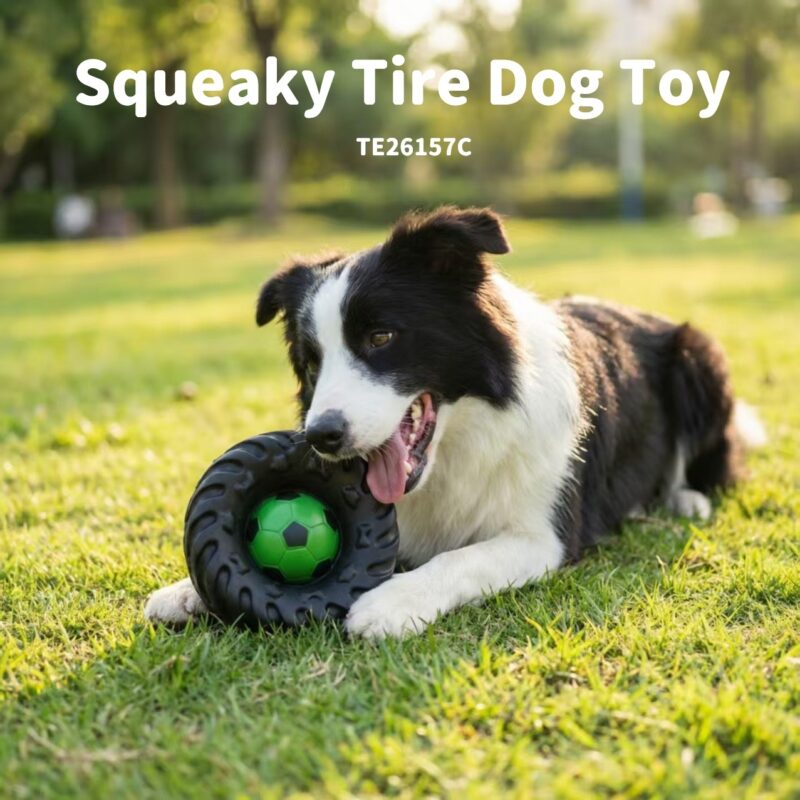 Squeaky Tire Dog Toy
