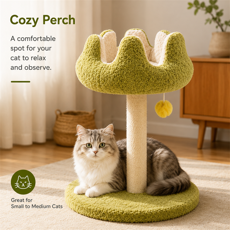 Cat Scratching Post